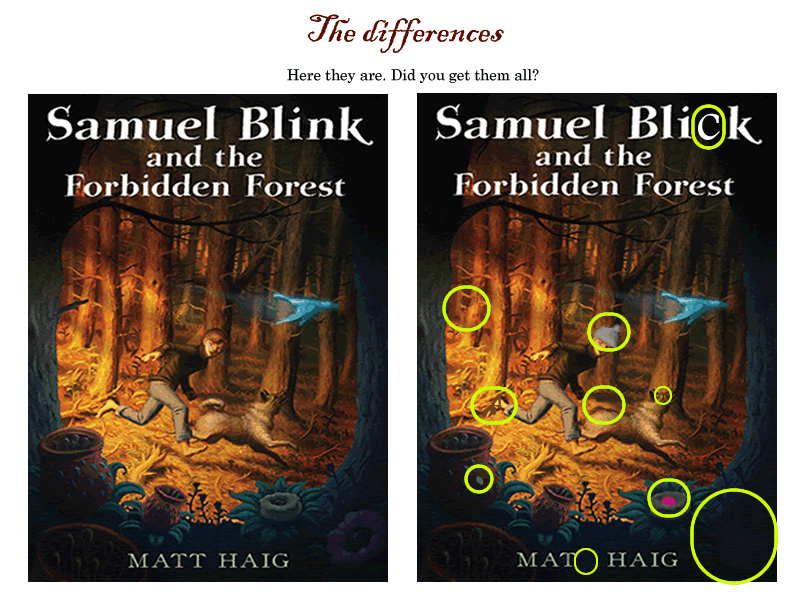 samuel blink and the forbidden forest